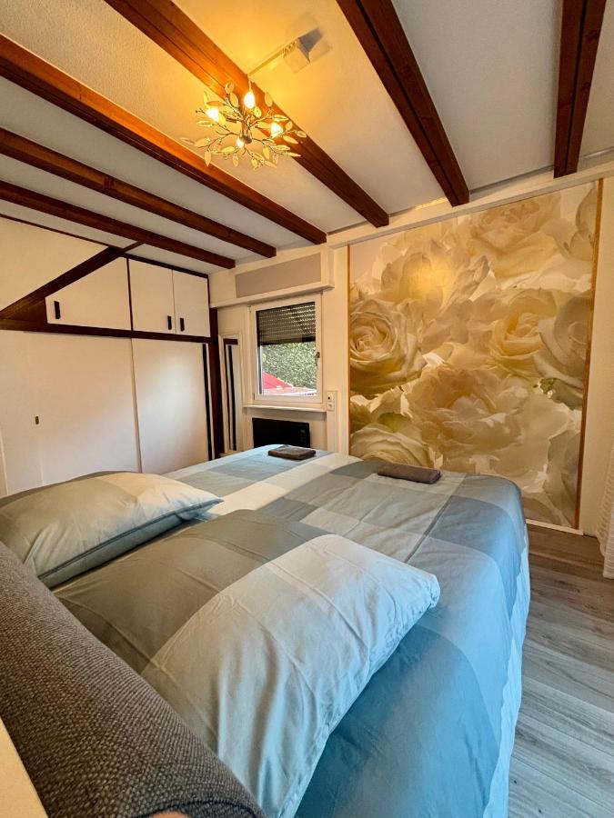Ferienhaus Veronika Odenwald Brensbach Εξωτερικό φωτογραφία